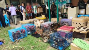 Two Thai Suspects Arrested in Krabi for Smuggling Wildlife from Indonesia