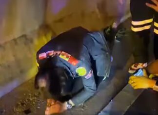 Tragisk olycka med känd thailändsk sångare krävde två liv