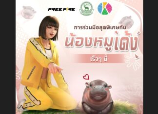 Moo Deng, the Famous Pygmy Hippo from Thailand, to be Featured in Online Game