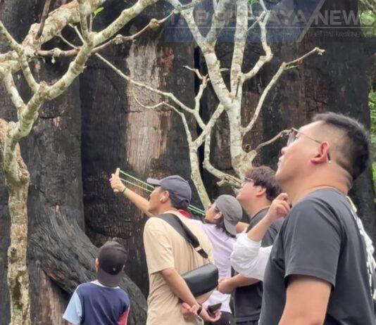 Китайский турист вызвал возмущение, использовав рогатку для стрельбы по животным в зоопарке Кхао Кхео