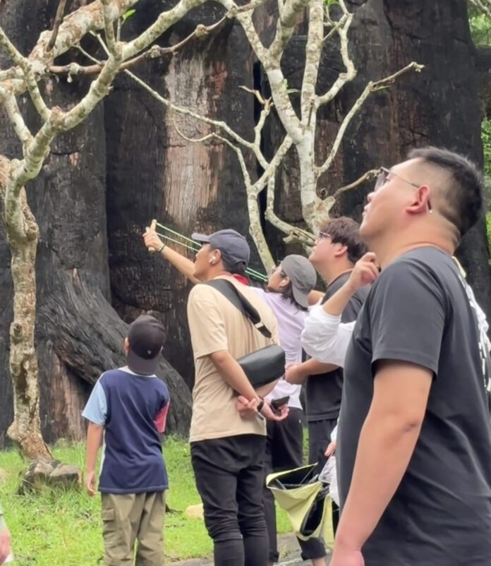 464070508_1079355230622336_3052753574643274111_n