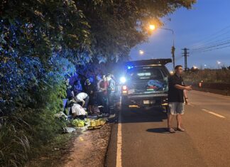 Man Hit by Car and Injured While Urinating on Roadside in Pattaya Area