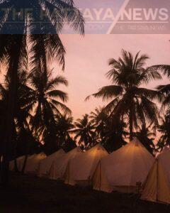 The Incredible Wonderfruit Festival Arrives in Pattaya This Month December 12th to the 16th