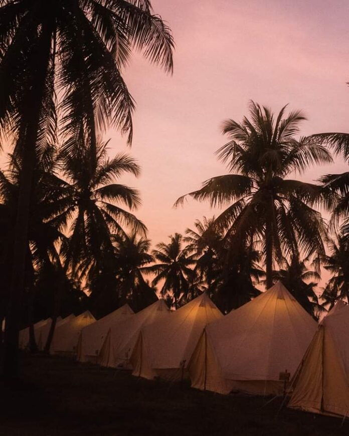 FB_IMG_1733209169172