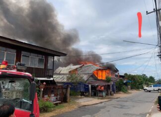 Medical Bytes Thailand Number 120, The Thai Tinderbox