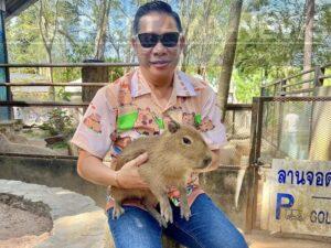 Khao Kheow Open Zoo Welcomes Three Cute Baby Capybaras and Celebrates Father’s Day with Free Entry for Kids!