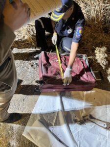 Mystery Deepens on Human Skeleton Found Stuffed in Suitcase Near Pattaya