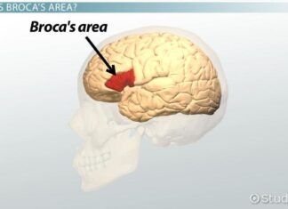 Medical Bytes Thailand Number 121: Feet of Clay