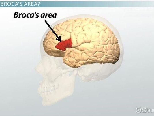 Medical Bytes Thailand Number 121: Feet of Clay