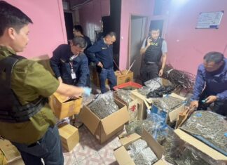 Politie van Bangkok arresteert drie buitenlanders die vermoedelijk illegale cannabisoperatie runnen