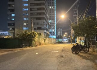 Thai Teenagers Snatch Bag from Russian Tourist in Pattaya Area