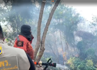 Forest Fire Threatens Homes Near Pattaya, Causes Air Pollution Complaints