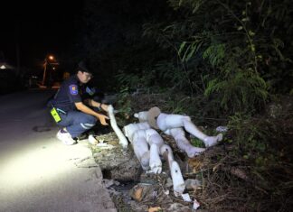 Police and Rescue Teams Rush Across Pattaya After Report of Naked Man and Woman Found Dead in Trash Pile, Only to Discover They Were Just Mannequins