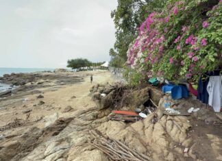 Residents and Tourists Demand Action as Homeless Encampment Takes Over Part of Wong Amat Beach