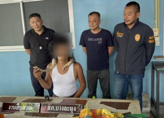 Thai Man Seen on Viral Stunt Video With A Decorated Motorcycle and Large Snake Turns Himself In to Pattaya Police