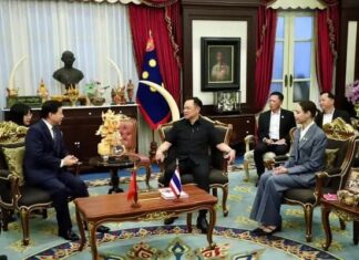 Thai Interior Minister Meets Chinese Ambassador to Address Bangkok Building Collapse Amid Earthquake Aftermath