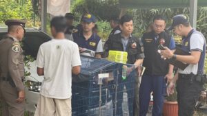 Bangkok Man Charged with Illegal Possession of Rare Wildlife