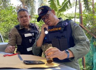 Nongprue Villagers Panic after Suspicious Object Resembling a Bomb Found Under Jackfruit Tree, Bomb Squad Later Says Was Fake