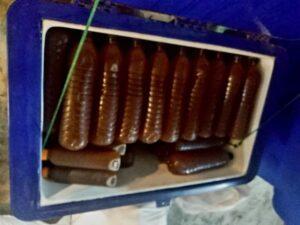 Thai Authorities Raid Shop Selling Kratom Drinks to Teens in Banglamung