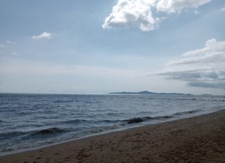 Reminder: Mandatory Thailand Digital Arrival Card (TDAC) Starts May 1st, 2025 and Early May Travelers Can Now Register!