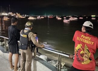 34-Year-Old Man Detained for Alleged Mobile Phone Theft from Young Boy at Bali Hai Pier