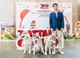 TAT Pattaya and Thonglor Pet Hospital Launch Pattana Pet Run 2025 to Promote Tourism in Chonburi
