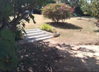 UPDATE: Arrest Warrant Issued for Swiss Man Involved in Notorious Alleged Kicking Incident of Thai Doctor in Phuket After He Fails to Show Up For Appeal Verdict