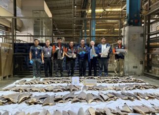 Thai Customs Thwarts Major Shark Fin Smuggling Operation at Suvarnabhumi Airport