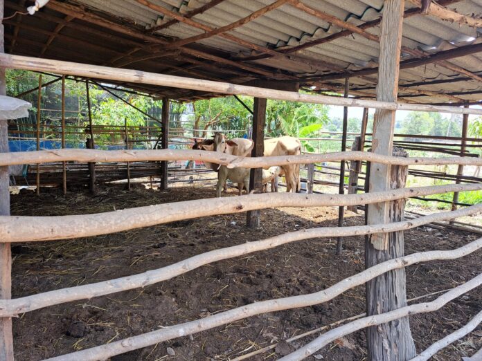 494745527_1028111279523679_5930248632057621869_n