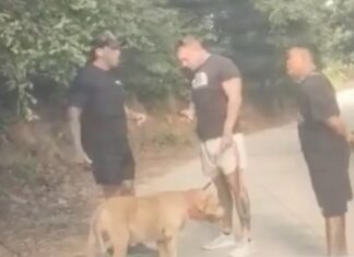 UPDATE: Thai Influencer Surrenders in Pattaya, Says He is Innocent in Alleged Connection with 21 Million Baht in Robberies in Samui and Phuket