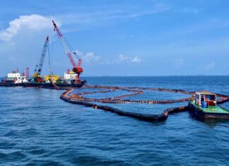 Chonburi Governor Assures Control Over Minor Oil Spill, Urges Public to Distinguish Plankton Bloom from Contamination