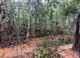 Thai Cambodian Border Tensions Ease as Forces Agree to Withdraw at Chong Bok