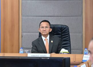 Thai Health Minister Plans to Return Cannabis to a Narcotic, Claims Decision Not Political