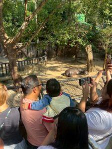 Terminally Ill Boys Final Wish: Meeting Moo Deng, the Beloved Pygmy Hippo Near Pattaya