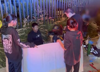Hit-and-Run Tragedy in Pattaya: SUV Driver Flees After Fatally Striking Pedestrian