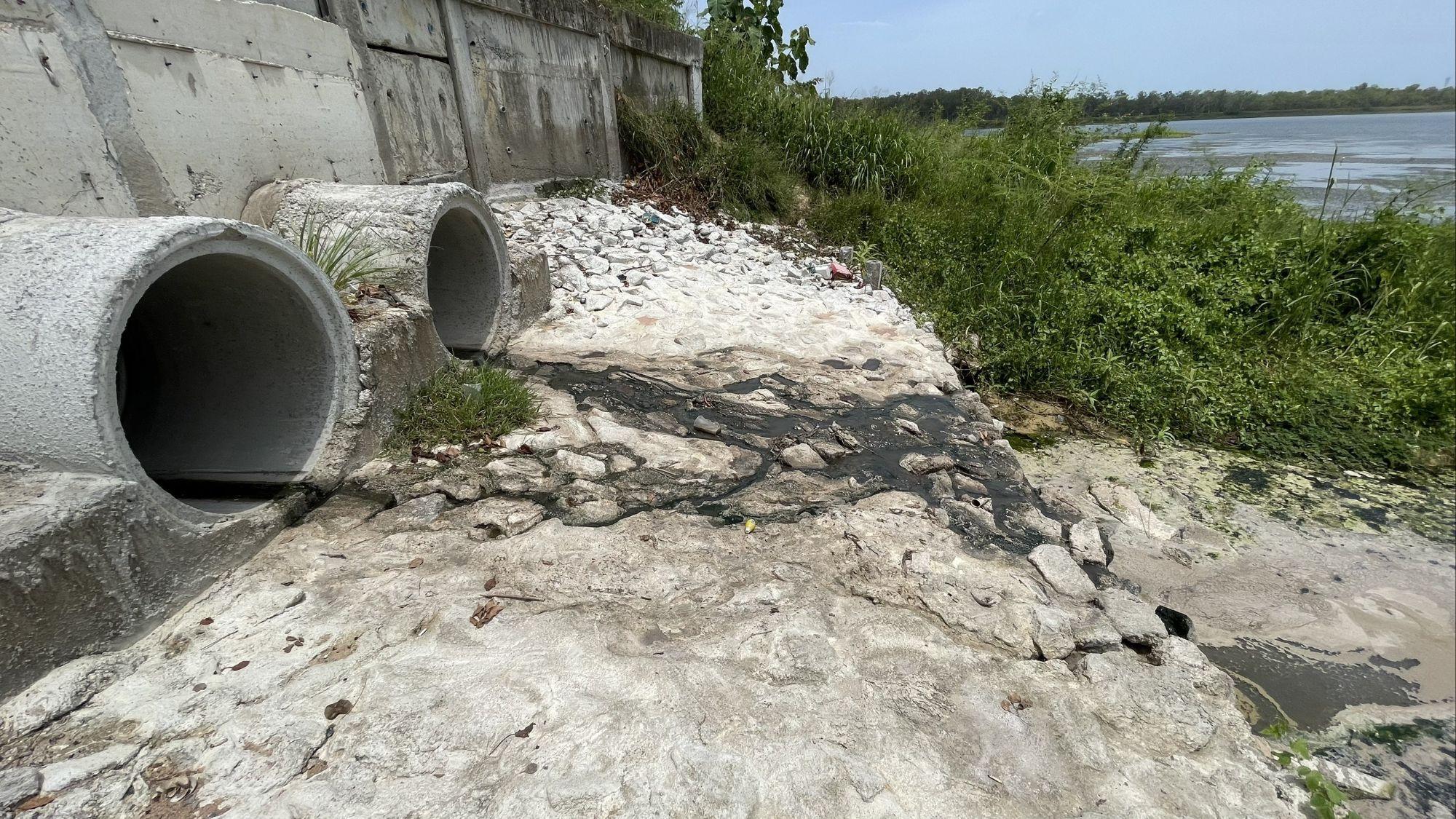 Something smells fishy: Locals kick up stink over reservoir pollution fears | News by Thaiger