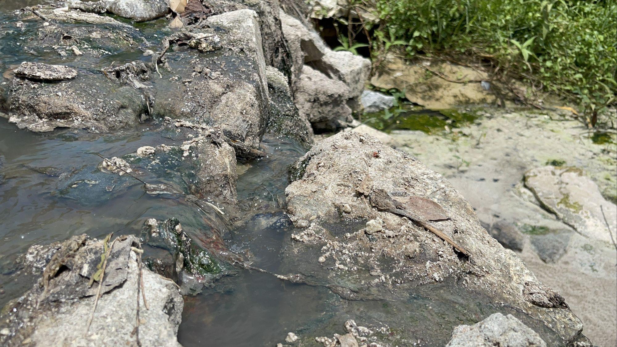 Something smells fishy: Locals kick up stink over reservoir pollution fears | News by Thaiger