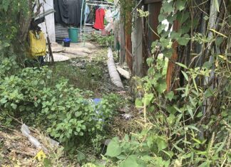 Власти Паттайи расследуют предполагаемый сброс сточных вод в водохранилище Мабпрачан после жалоб общественности