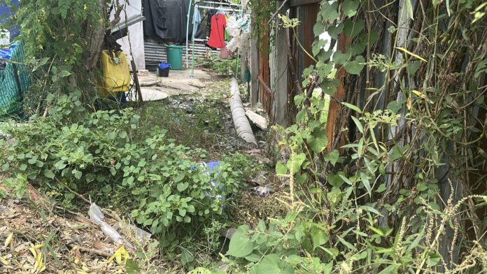 Власти Паттайи расследуют предполагаемый сброс сточных вод в водохранилище Мабпрачан после жалоб сообщества