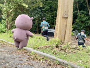 Moo Deng Escapes in Pattaya, Brave Staff Capture her After Rampage…Sort of