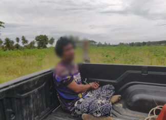 Староста деревни Кхао Май Кео задержал вора, похитившего кокосов, который якобы поддерживал больную жену