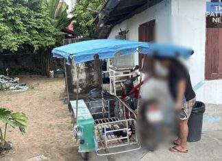 Ältere Frau bei Motorrad-Beiwagenunfall nach Hundejagd in der Nähe von Pattaya schwer verletzt