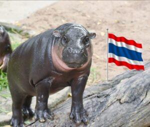 Khao Kheow Open Zoo and Leila Toys Unite to Support Thai-Cambodian Border Communities