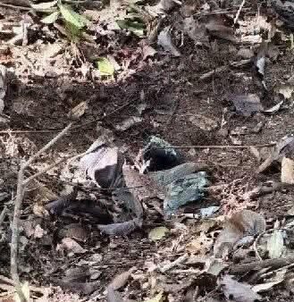 FB_IMG_1754979854352