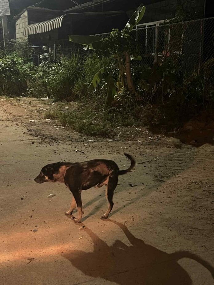 FB_IMG_1755780464752