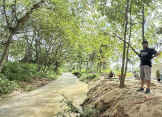 Pattaya Journalist Pioneers Green Entrepreneurship with Tai Suan Slow Bar Cafe