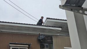 Rescue Operation Saves Stranded Cat Named Golden from a Rooftop in Sri Racha