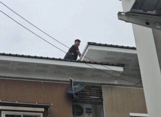 Rescue Operation Saves Stranded Cat Named Golden from a Rooftop in Sri Racha