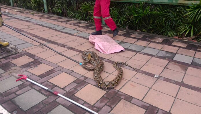 FB_IMG_1757441173193