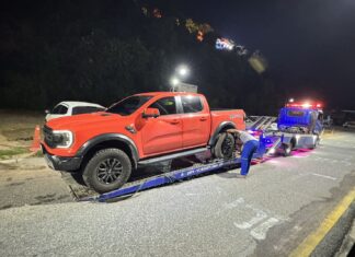 Couple Blame Stray Dogs for Vehicle Damage at Bali Hai Pier